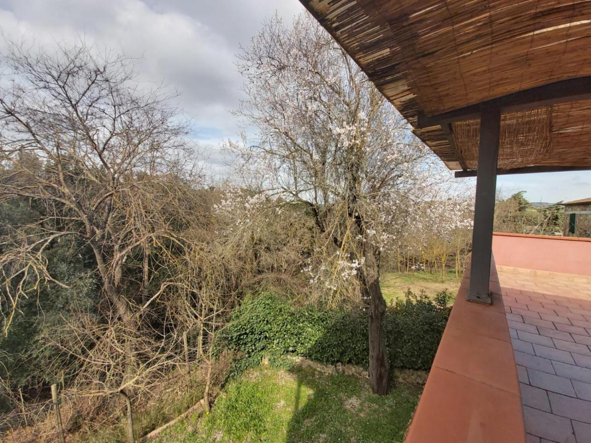 Tenuta Santa Maria Villa Campagnatico Esterno foto