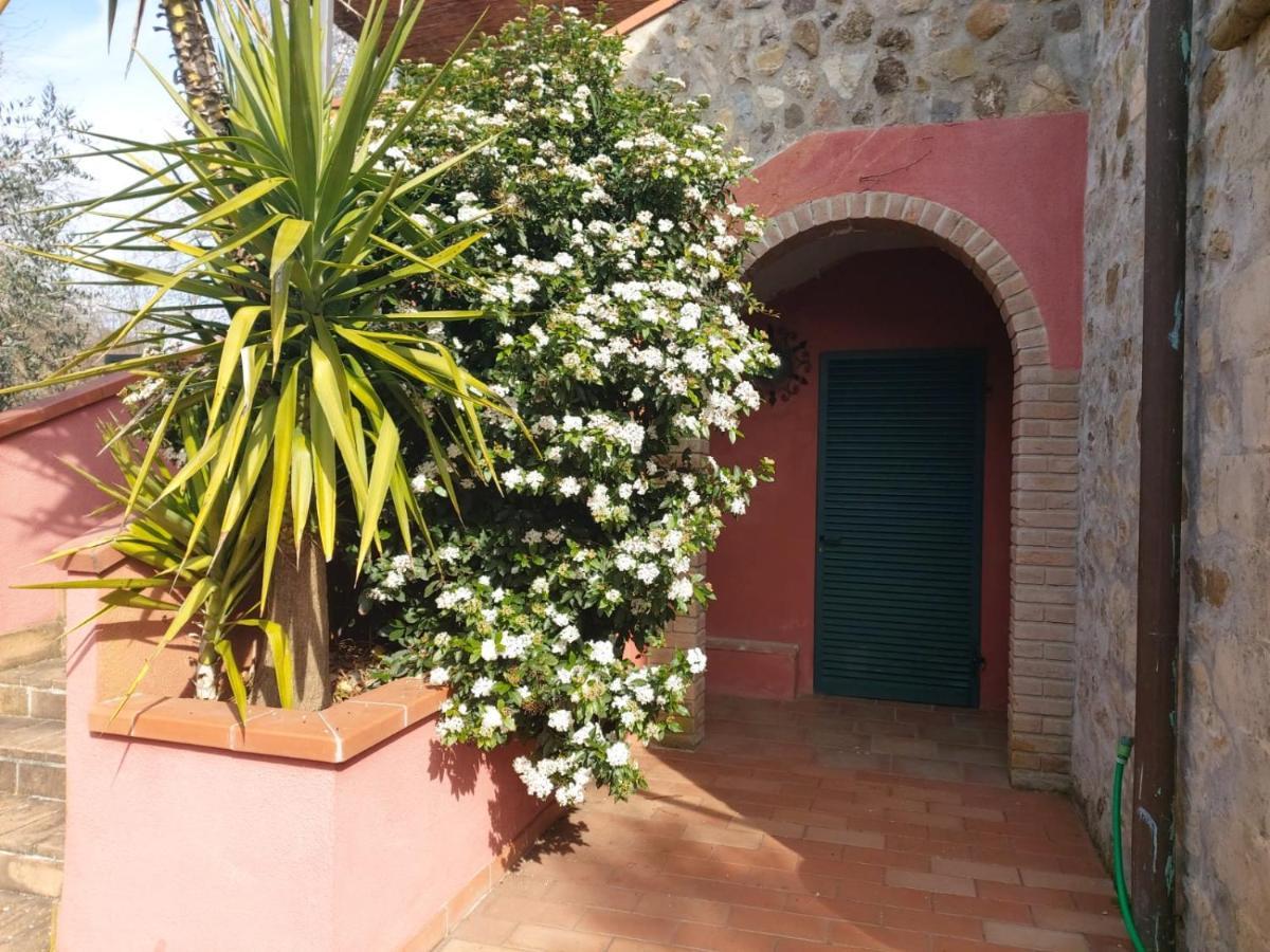 Tenuta Santa Maria Villa Campagnatico Esterno foto