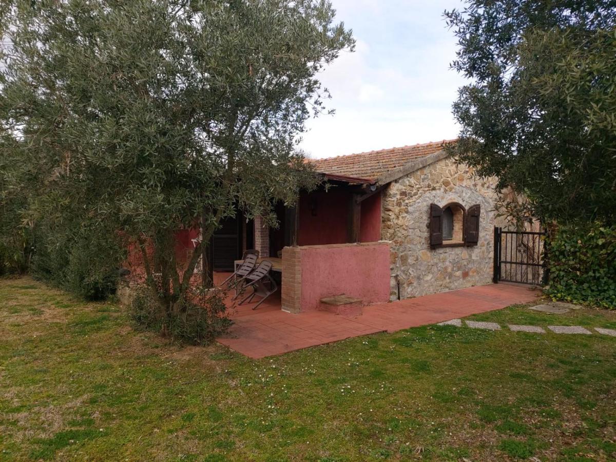 Tenuta Santa Maria Villa Campagnatico Esterno foto