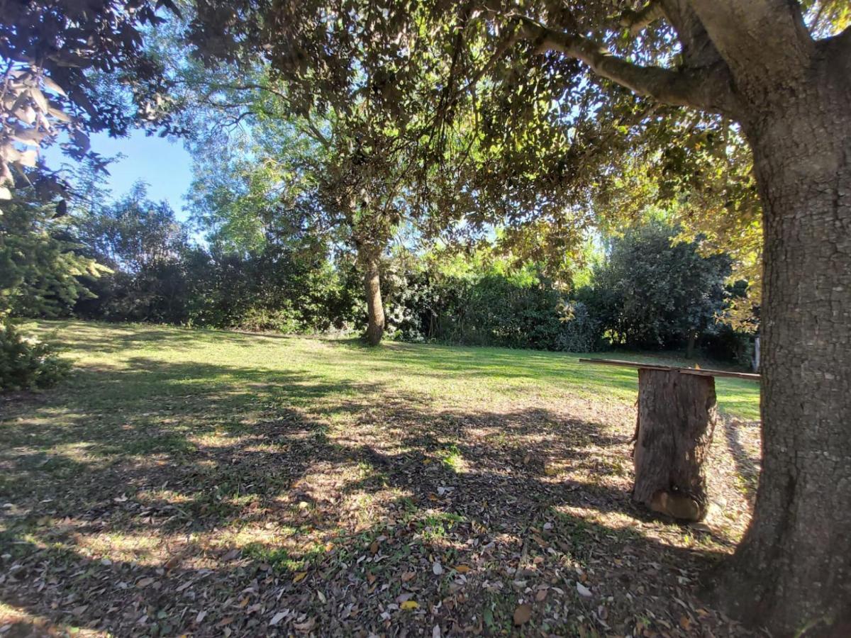 Tenuta Santa Maria Villa Campagnatico Esterno foto