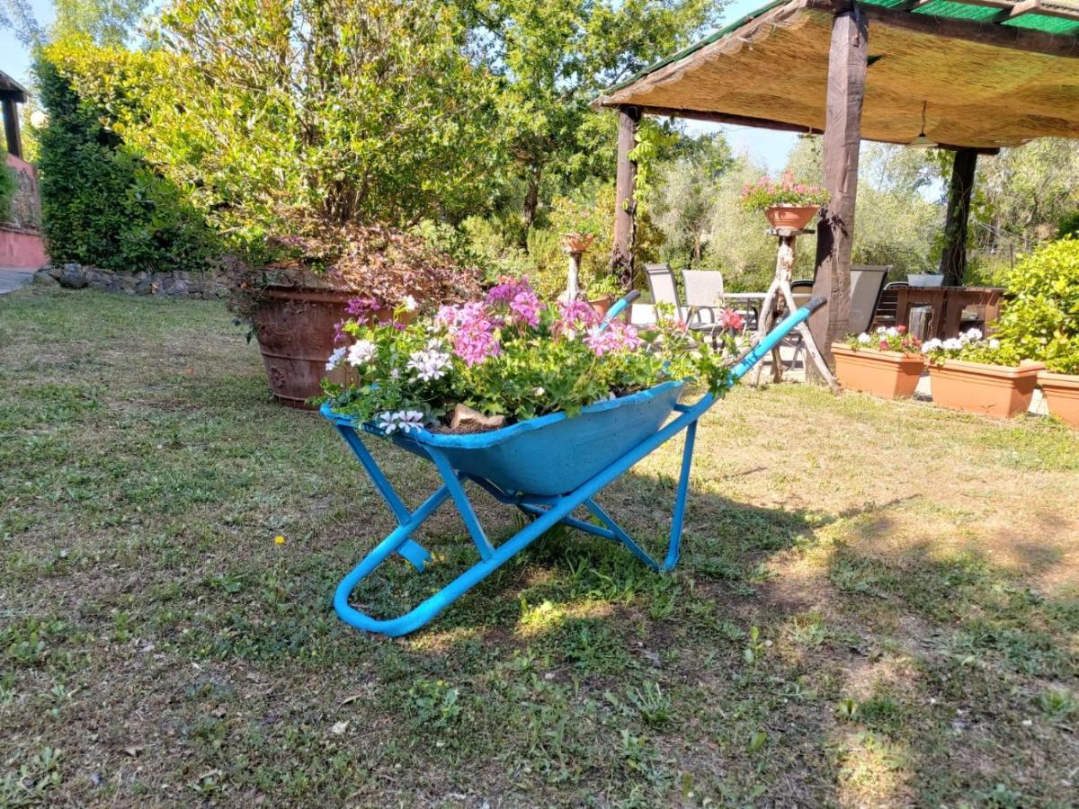 Tenuta Santa Maria Villa Campagnatico Esterno foto
