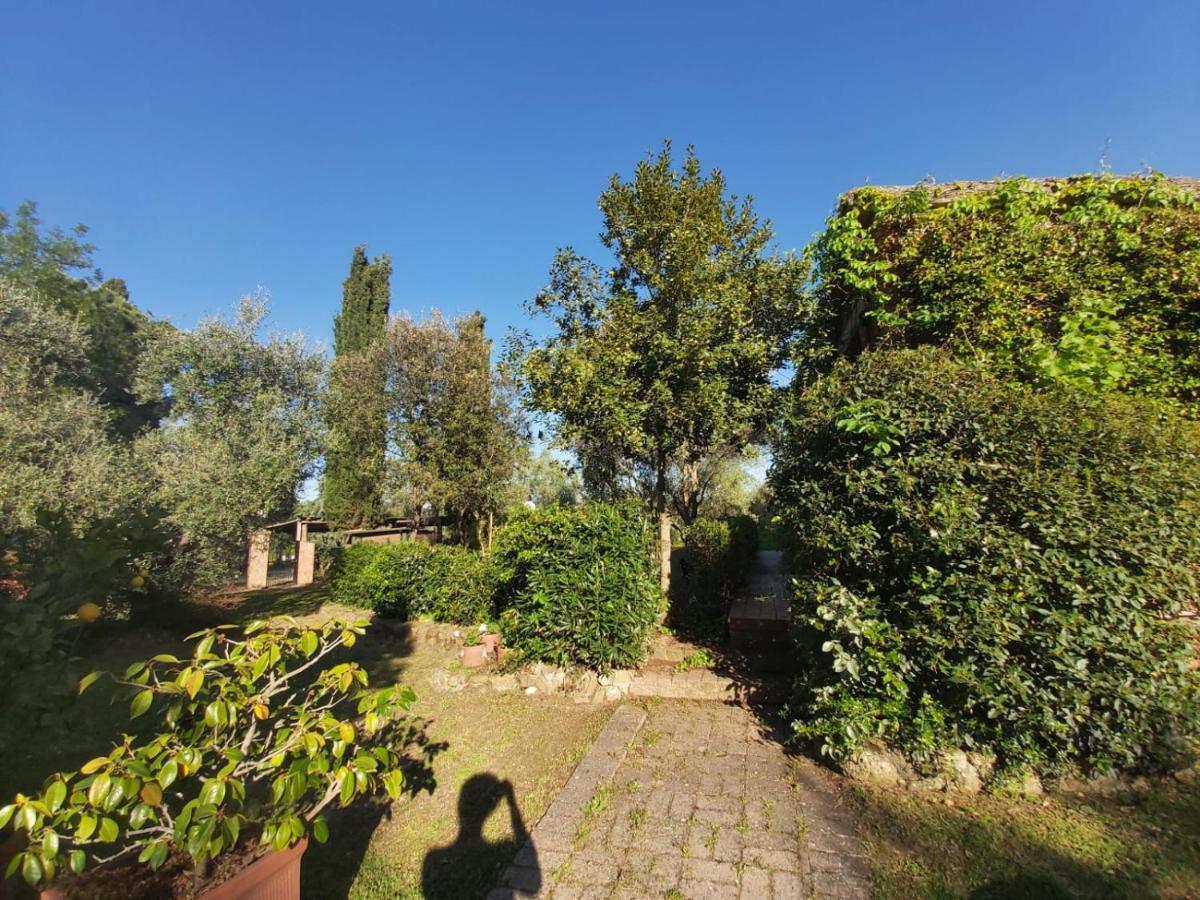 Tenuta Santa Maria Villa Campagnatico Esterno foto